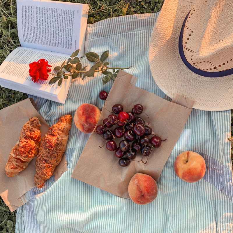 picnic (1)